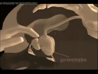 Hur till ge en prostata massagen, fria xxx massagen kön film video-